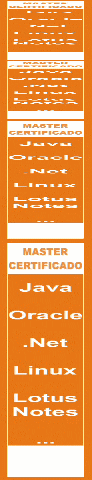 Master Java