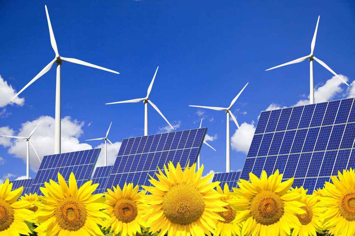 ¿Son rentables las energías fotovoltaicas?