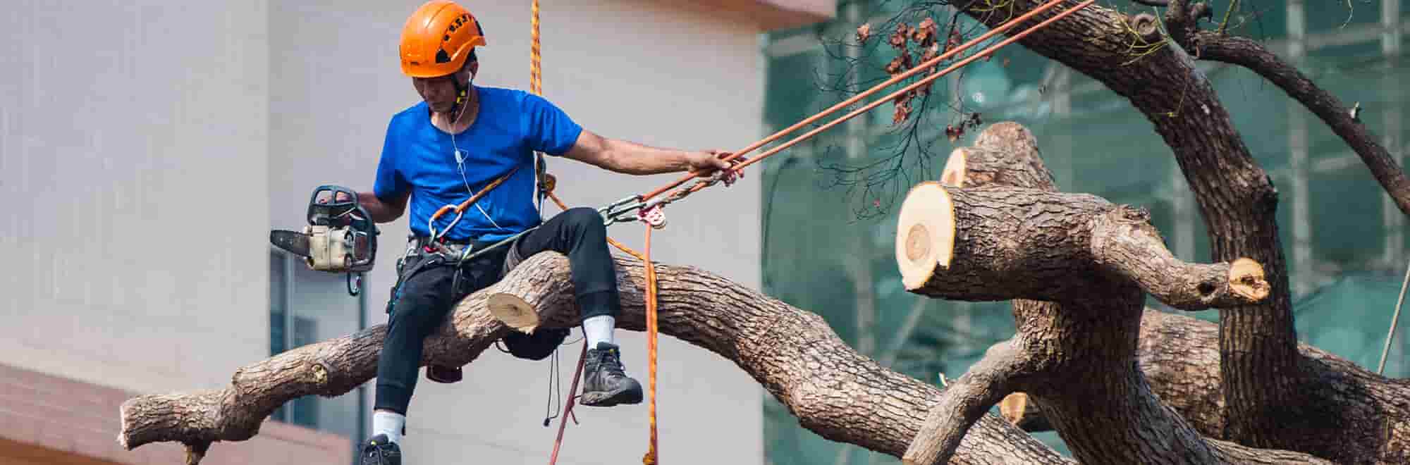 ¿Por qué es importante la formación en Prevención de Riesgos Laborales?