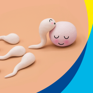 Educación en fertilidad: por qué es cada vez más importante formar a profesionales especializados