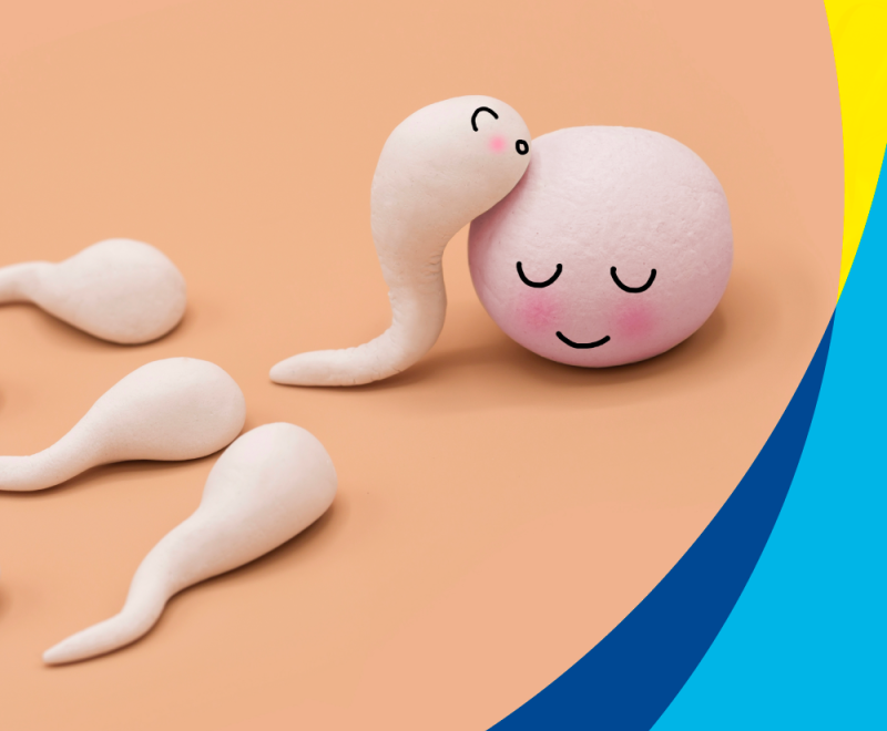 Educación en fertilidad: por qué es cada vez más importante formar a profesionales especializados