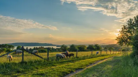 Paisajismo y Medio Rural