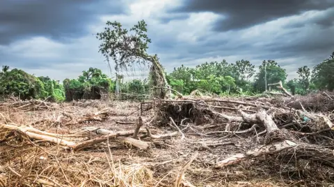 Cambio Climático