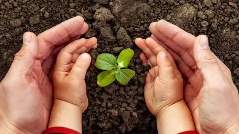 Derecho Ambiental