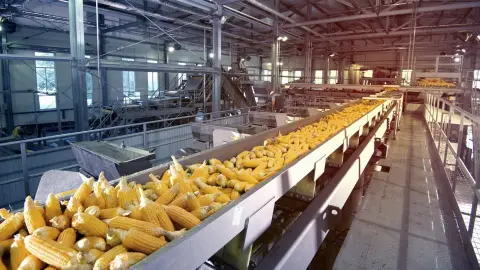Industria Alimentaria