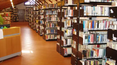 Auxiliar de Bibliotecas