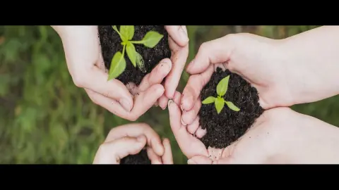 Derecho Ambiental