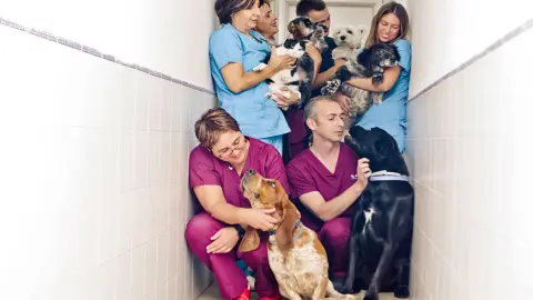 Auxiliar de Clínica Veterinaria