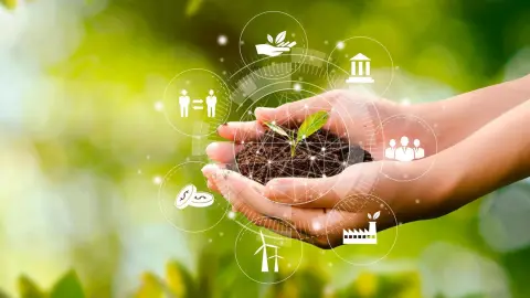 Gestión Ambiental