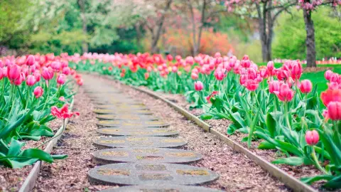Jardinería