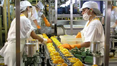 Industria Alimentaria