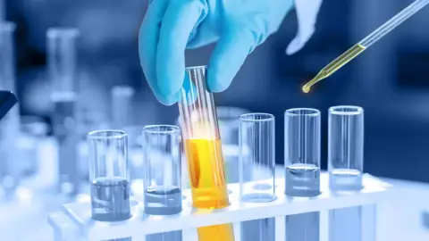 Anatomía Patológica y Citodiagnóstico