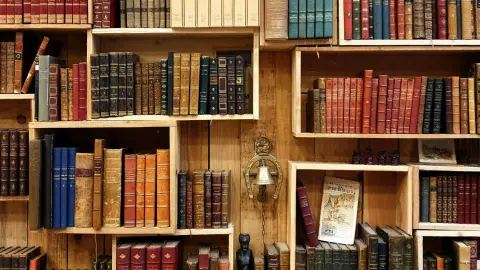Auxiliar de Bibliotecas