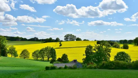 Paisajismo y Medio Rural