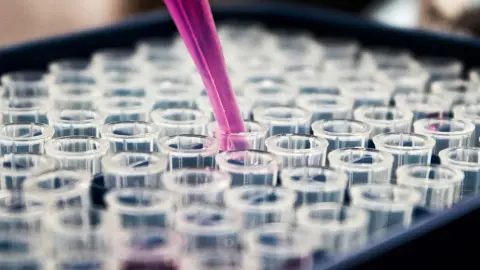 Laboratorio Clínico