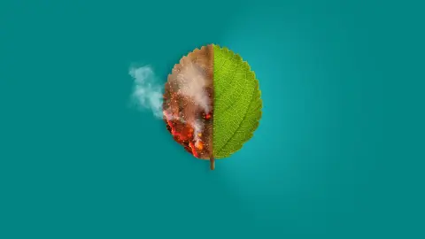 Cambio Climático