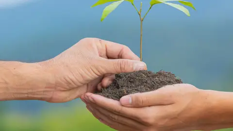 Gestión Ambiental
