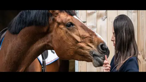 Veterinaria Ecuestre