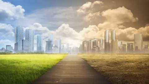 Contaminación Ambiental