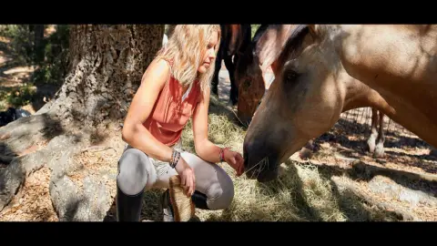 Veterinaria Ecuestre