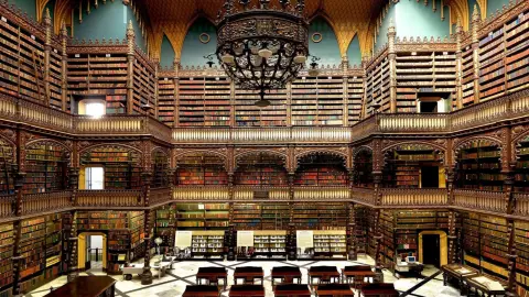 Magisterio