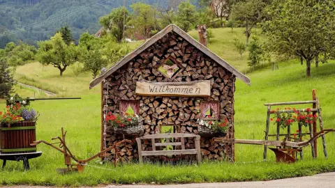 Paisajismo y Medio Rural