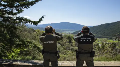 Agent Rural