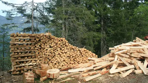 Gestión Forestal y del Medio Natural