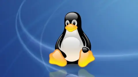 Linux