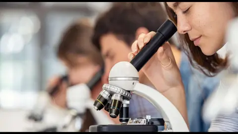 Laboratorio Químico