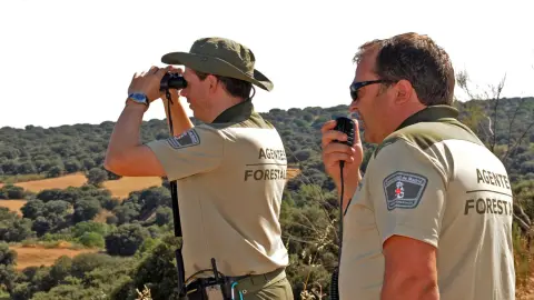 Agente Forestal