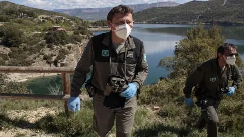 Agent Rural
