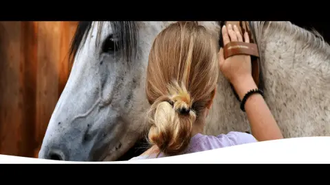 Veterinaria Ecuestre