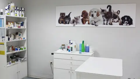 Auxiliar de Clínica Veterinaria
