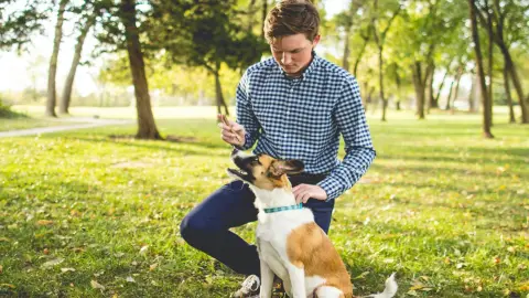 Cuidador de Animales