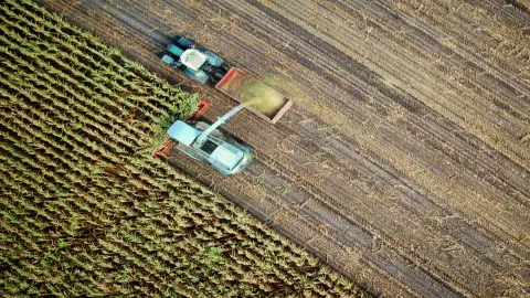Agricultura