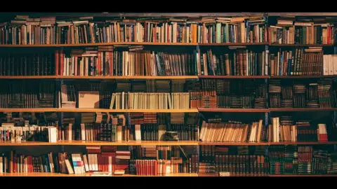 Auxiliar de Bibliotecas