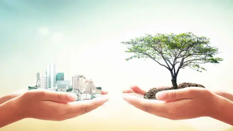 Gestión Ambiental