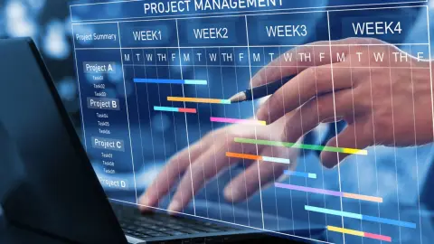 Project Management