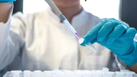 Laboratorio Clínico