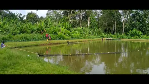 Piscicultor