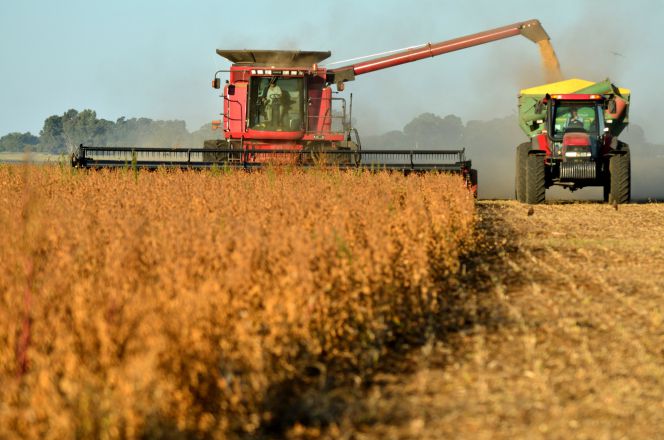 Disminuye la presión fiscal en las actividades agrícolas imagen 1