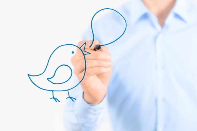 Cómo utilizar de forma eficiente el Twitter en las PYMES imagen 1