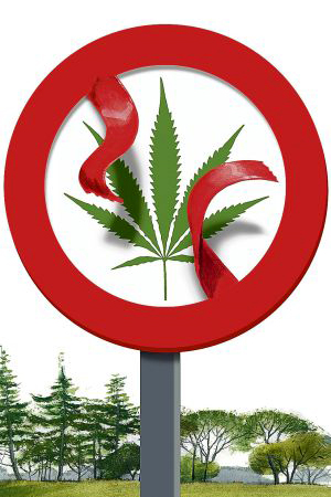 España a favor e la legalización de la venta y consumo de cannabis imagen 1