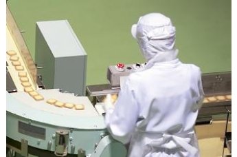 El sector alimenticio responde positivamente a la crisis imagen 1