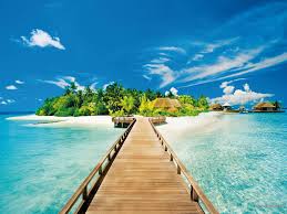 Se puede aprender aspectos positivos de cada persona durante las vacaciones imagen 1