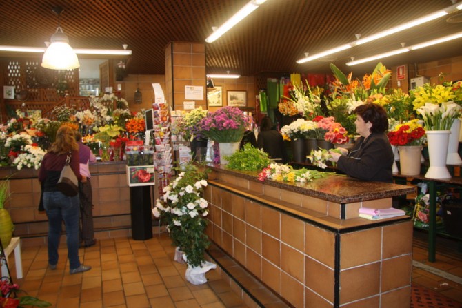 Con la llegada de la primavera, surge la complejidad del tema impositivo relacionado con el Impuesto sobre el Valor Agregado (IVA) aplicado a las plantas y flores en viveros y tiendas de flores. imagen 1