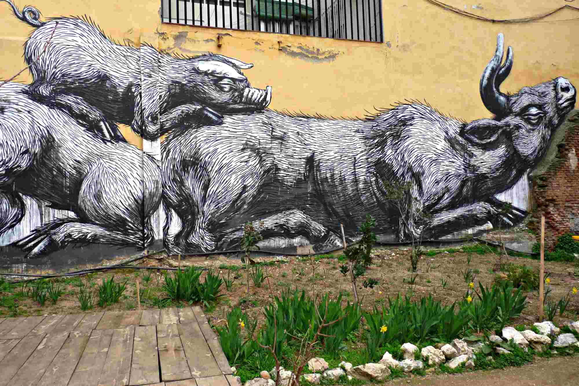 Mientras los muros callan las calles hablan  imagen 1