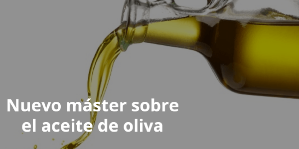 Imagen de Se demandan profesionales cualificados del aceite de oliva