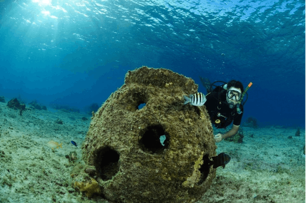 arrecife artificial Valencia